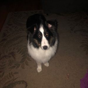 Meet your Posher, Devon